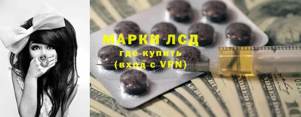 ECSTASY Лагань