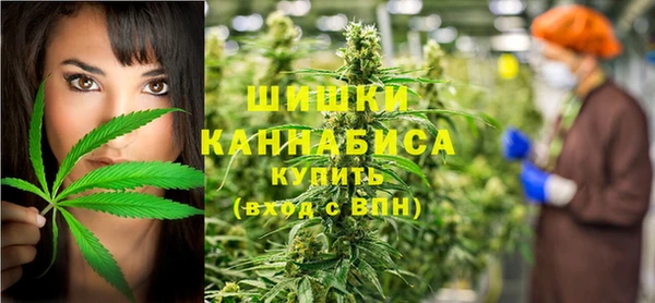 ECSTASY Лагань
