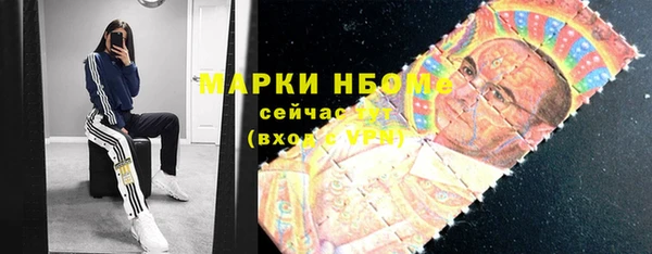 ECSTASY Лагань