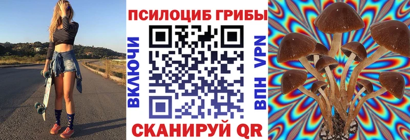 где купить Голицыно Псилоцибиновые грибы мицелий